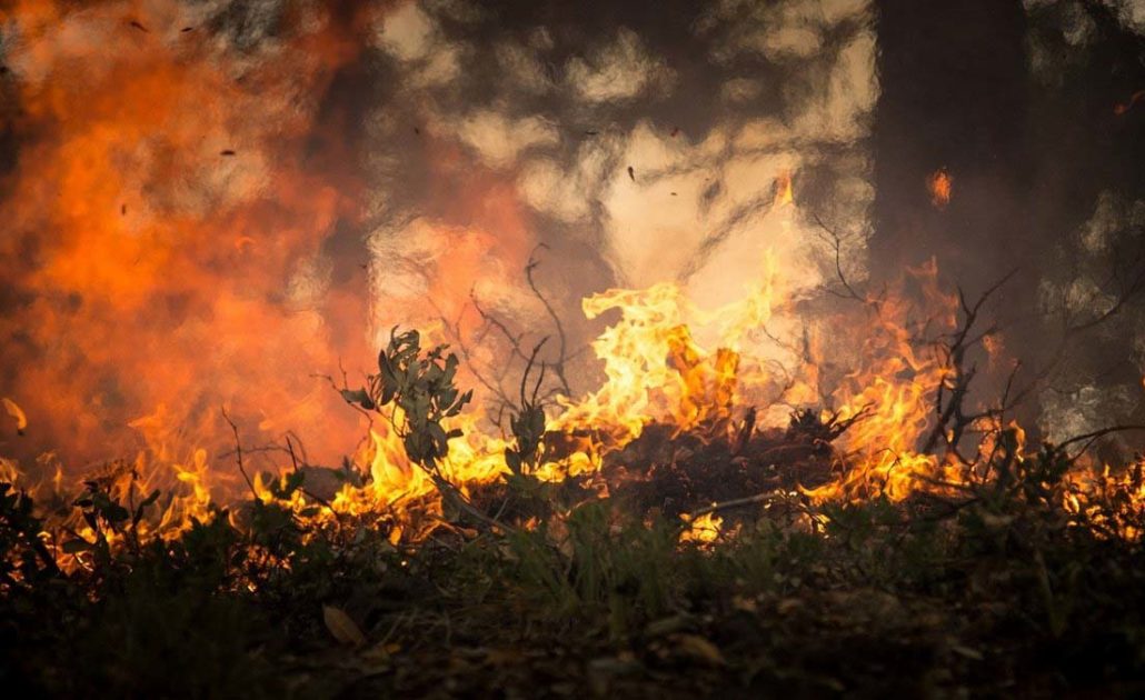 Concessionária deve indenizar produtor rural em mais de R$ 100 mil por incêndio