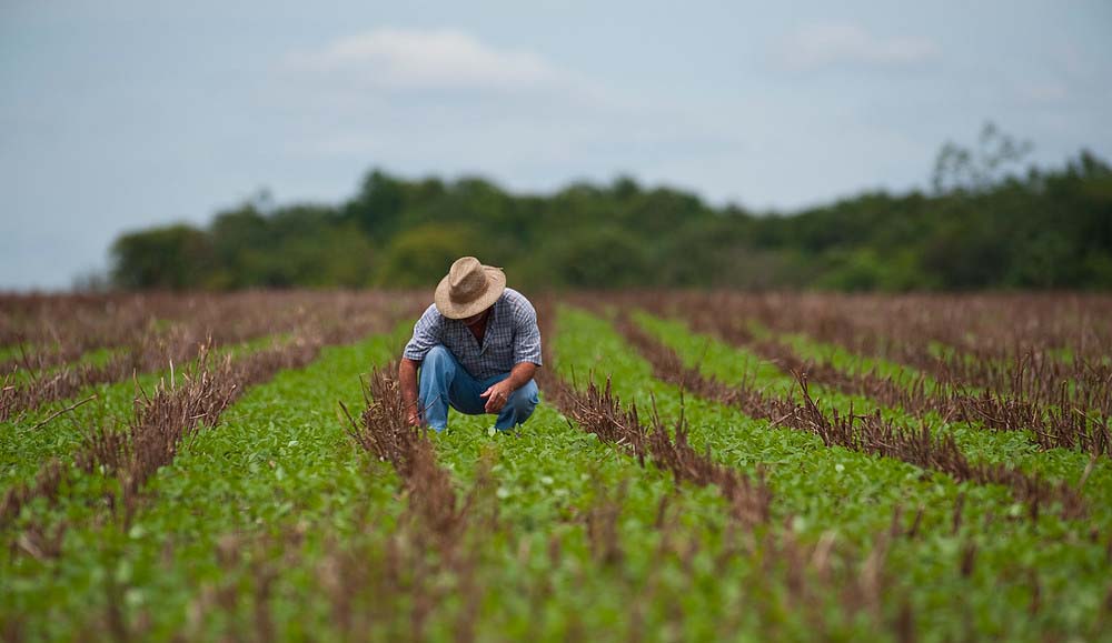 Pequena propriedade rural é impenhorável para pagamento de dívidas 02