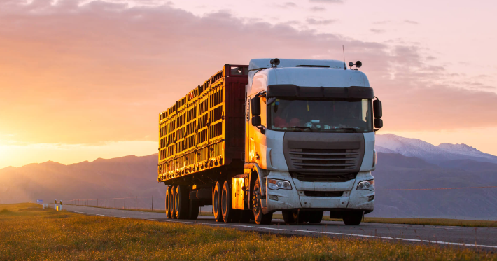 Motorista de caminhão com tanque suplementar receberá adicional de periculosidade (Imagem: Freepik)