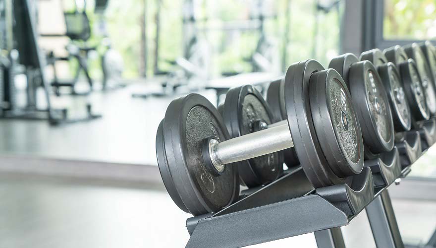 View of rows of dumbbells